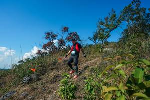 BIB: 
                            <button type="button" onclick="openModal(28097165)" class="btn btn-primary btn-sm float-right btn-popup" data-toggle="modal" data-target=".modal-high-quality">
                        <i class="fas fa-shopping-cart"></i> Add to Cart
                    </button>
                                            <button type="button" onclick="isThisMe(28097165, true)" class="btn btn-success btn-sm float-right btn-popup btn-isme hidden" data-toggle="tooltip" data-placement="bottom" title="นี่คือรูปของคุณใช่ไหม คลิกที่นี่เพื่อเอาเข้าอัลบั้ม">
                        <i class="fas fa-plus"></i> Add to album
                    </button>
                    <button type="button" onclick="isThisMe(28097165, false)" class="btn btn-warning btn-sm float-right btn-popup btn-isnotme hidden">
                        <i class="fas fa-ban"></i> Remove from album
                    </button>