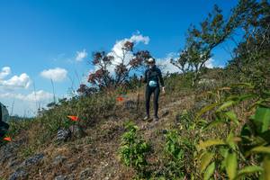 BIB: 
                            <button type="button" onclick="openModal(28097542)" class="btn btn-primary btn-sm float-right btn-popup" data-toggle="modal" data-target=".modal-high-quality">
                        <i class="fas fa-shopping-cart"></i> Add to Cart
                    </button>
                                            <button type="button" onclick="isThisMe(28097542, true)" class="btn btn-success btn-sm float-right btn-popup btn-isme hidden" data-toggle="tooltip" data-placement="bottom" title="นี่คือรูปของคุณใช่ไหม คลิกที่นี่เพื่อเอาเข้าอัลบั้ม">
                        <i class="fas fa-plus"></i> Add to album
                    </button>
                    <button type="button" onclick="isThisMe(28097542, false)" class="btn btn-warning btn-sm float-right btn-popup btn-isnotme hidden">
                        <i class="fas fa-ban"></i> Remove from album
                    </button>