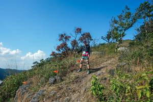 BIB: 
                            <button type="button" onclick="openModal(28096636)" class="btn btn-primary btn-sm float-right btn-popup" data-toggle="modal" data-target=".modal-high-quality">
                        <i class="fas fa-shopping-cart"></i> Add to Cart
                    </button>
                                            <button type="button" onclick="isThisMe(28096636, true)" class="btn btn-success btn-sm float-right btn-popup btn-isme hidden" data-toggle="tooltip" data-placement="bottom" title="นี่คือรูปของคุณใช่ไหม คลิกที่นี่เพื่อเอาเข้าอัลบั้ม">
                        <i class="fas fa-plus"></i> Add to album
                    </button>
                    <button type="button" onclick="isThisMe(28096636, false)" class="btn btn-warning btn-sm float-right btn-popup btn-isnotme hidden">
                        <i class="fas fa-ban"></i> Remove from album
                    </button>