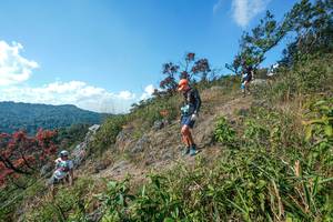 BIB: 
                            <button type="button" onclick="openModal(28096837)" class="btn btn-primary btn-sm float-right btn-popup" data-toggle="modal" data-target=".modal-high-quality">
                        <i class="fas fa-shopping-cart"></i> Add to Cart
                    </button>
                                            <button type="button" onclick="isThisMe(28096837, true)" class="btn btn-success btn-sm float-right btn-popup btn-isme hidden" data-toggle="tooltip" data-placement="bottom" title="นี่คือรูปของคุณใช่ไหม คลิกที่นี่เพื่อเอาเข้าอัลบั้ม">
                        <i class="fas fa-plus"></i> Add to album
                    </button>
                    <button type="button" onclick="isThisMe(28096837, false)" class="btn btn-warning btn-sm float-right btn-popup btn-isnotme hidden">
                        <i class="fas fa-ban"></i> Remove from album
                    </button>