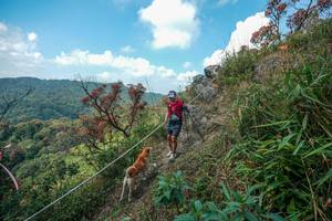 BIB: 
                            <button type="button" onclick="openModal(28095918)" class="btn btn-primary btn-sm float-right btn-popup" data-toggle="modal" data-target=".modal-high-quality">
                        <i class="fas fa-shopping-cart"></i> Add to Cart
                    </button>
                                            <button type="button" onclick="isThisMe(28095918, true)" class="btn btn-success btn-sm float-right btn-popup btn-isme hidden" data-toggle="tooltip" data-placement="bottom" title="นี่คือรูปของคุณใช่ไหม คลิกที่นี่เพื่อเอาเข้าอัลบั้ม">
                        <i class="fas fa-plus"></i> Add to album
                    </button>
                    <button type="button" onclick="isThisMe(28095918, false)" class="btn btn-warning btn-sm float-right btn-popup btn-isnotme hidden">
                        <i class="fas fa-ban"></i> Remove from album
                    </button>