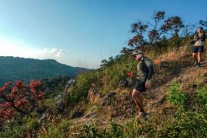 BIB: 
                            <button type="button" onclick="openModal(28099457)" class="btn btn-primary btn-sm float-right btn-popup" data-toggle="modal" data-target=".modal-high-quality">
                        <i class="fas fa-shopping-cart"></i> Add to Cart
                    </button>
                                            <button type="button" onclick="isThisMe(28099457, true)" class="btn btn-success btn-sm float-right btn-popup btn-isme hidden" data-toggle="tooltip" data-placement="bottom" title="นี่คือรูปของคุณใช่ไหม คลิกที่นี่เพื่อเอาเข้าอัลบั้ม">
                        <i class="fas fa-plus"></i> Add to album
                    </button>
                    <button type="button" onclick="isThisMe(28099457, false)" class="btn btn-warning btn-sm float-right btn-popup btn-isnotme hidden">
                        <i class="fas fa-ban"></i> Remove from album
                    </button>