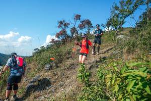 BIB: 
                            <button type="button" onclick="openModal(28097022)" class="btn btn-primary btn-sm float-right btn-popup" data-toggle="modal" data-target=".modal-high-quality">
                        <i class="fas fa-shopping-cart"></i> Add to Cart
                    </button>
                                            <button type="button" onclick="isThisMe(28097022, true)" class="btn btn-success btn-sm float-right btn-popup btn-isme hidden" data-toggle="tooltip" data-placement="bottom" title="นี่คือรูปของคุณใช่ไหม คลิกที่นี่เพื่อเอาเข้าอัลบั้ม">
                        <i class="fas fa-plus"></i> Add to album
                    </button>
                    <button type="button" onclick="isThisMe(28097022, false)" class="btn btn-warning btn-sm float-right btn-popup btn-isnotme hidden">
                        <i class="fas fa-ban"></i> Remove from album
                    </button>