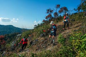 BIB: 
                            <button type="button" onclick="openModal(28098774)" class="btn btn-primary btn-sm float-right btn-popup" data-toggle="modal" data-target=".modal-high-quality">
                        <i class="fas fa-shopping-cart"></i> Add to Cart
                    </button>
                                            <button type="button" onclick="isThisMe(28098774, true)" class="btn btn-success btn-sm float-right btn-popup btn-isme hidden" data-toggle="tooltip" data-placement="bottom" title="นี่คือรูปของคุณใช่ไหม คลิกที่นี่เพื่อเอาเข้าอัลบั้ม">
                        <i class="fas fa-plus"></i> Add to album
                    </button>
                    <button type="button" onclick="isThisMe(28098774, false)" class="btn btn-warning btn-sm float-right btn-popup btn-isnotme hidden">
                        <i class="fas fa-ban"></i> Remove from album
                    </button>