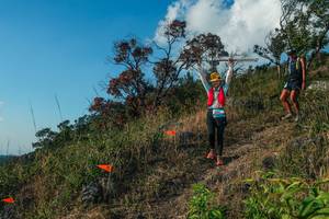 BIB: 
                            <button type="button" onclick="openModal(28099184)" class="btn btn-primary btn-sm float-right btn-popup" data-toggle="modal" data-target=".modal-high-quality">
                        <i class="fas fa-shopping-cart"></i> Add to Cart
                    </button>
                                            <button type="button" onclick="isThisMe(28099184, true)" class="btn btn-success btn-sm float-right btn-popup btn-isme hidden" data-toggle="tooltip" data-placement="bottom" title="นี่คือรูปของคุณใช่ไหม คลิกที่นี่เพื่อเอาเข้าอัลบั้ม">
                        <i class="fas fa-plus"></i> Add to album
                    </button>
                    <button type="button" onclick="isThisMe(28099184, false)" class="btn btn-warning btn-sm float-right btn-popup btn-isnotme hidden">
                        <i class="fas fa-ban"></i> Remove from album
                    </button>