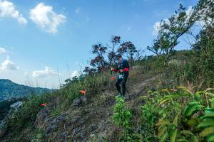 BIB: 
                            <button type="button" onclick="openModal(28097909)" class="btn btn-primary btn-sm float-right btn-popup" data-toggle="modal" data-target=".modal-high-quality">
                        <i class="fas fa-shopping-cart"></i> Add to Cart
                    </button>
                                            <button type="button" onclick="isThisMe(28097909, true)" class="btn btn-success btn-sm float-right btn-popup btn-isme hidden" data-toggle="tooltip" data-placement="bottom" title="นี่คือรูปของคุณใช่ไหม คลิกที่นี่เพื่อเอาเข้าอัลบั้ม">
                        <i class="fas fa-plus"></i> Add to album
                    </button>
                    <button type="button" onclick="isThisMe(28097909, false)" class="btn btn-warning btn-sm float-right btn-popup btn-isnotme hidden">
                        <i class="fas fa-ban"></i> Remove from album
                    </button>