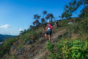 BIB: 
                            <button type="button" onclick="openModal(28098245)" class="btn btn-primary btn-sm float-right btn-popup" data-toggle="modal" data-target=".modal-high-quality">
                        <i class="fas fa-shopping-cart"></i> Add to Cart
                    </button>
                                            <button type="button" onclick="isThisMe(28098245, true)" class="btn btn-success btn-sm float-right btn-popup btn-isme hidden" data-toggle="tooltip" data-placement="bottom" title="นี่คือรูปของคุณใช่ไหม คลิกที่นี่เพื่อเอาเข้าอัลบั้ม">
                        <i class="fas fa-plus"></i> Add to album
                    </button>
                    <button type="button" onclick="isThisMe(28098245, false)" class="btn btn-warning btn-sm float-right btn-popup btn-isnotme hidden">
                        <i class="fas fa-ban"></i> Remove from album
                    </button>