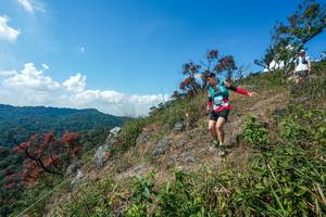 BIB: 
                            <button type="button" onclick="openModal(28096312)" class="btn btn-primary btn-sm float-right btn-popup" data-toggle="modal" data-target=".modal-high-quality">
                        <i class="fas fa-shopping-cart"></i> Add to Cart
                    </button>
                                            <button type="button" onclick="isThisMe(28096312, true)" class="btn btn-success btn-sm float-right btn-popup btn-isme hidden" data-toggle="tooltip" data-placement="bottom" title="นี่คือรูปของคุณใช่ไหม คลิกที่นี่เพื่อเอาเข้าอัลบั้ม">
                        <i class="fas fa-plus"></i> Add to album
                    </button>
                    <button type="button" onclick="isThisMe(28096312, false)" class="btn btn-warning btn-sm float-right btn-popup btn-isnotme hidden">
                        <i class="fas fa-ban"></i> Remove from album
                    </button>