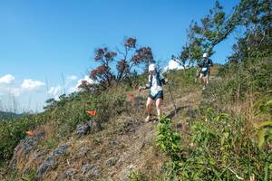 BIB: 
                            <button type="button" onclick="openModal(28096956)" class="btn btn-primary btn-sm float-right btn-popup" data-toggle="modal" data-target=".modal-high-quality">
                        <i class="fas fa-shopping-cart"></i> Add to Cart
                    </button>
                                            <button type="button" onclick="isThisMe(28096956, true)" class="btn btn-success btn-sm float-right btn-popup btn-isme hidden" data-toggle="tooltip" data-placement="bottom" title="นี่คือรูปของคุณใช่ไหม คลิกที่นี่เพื่อเอาเข้าอัลบั้ม">
                        <i class="fas fa-plus"></i> Add to album
                    </button>
                    <button type="button" onclick="isThisMe(28096956, false)" class="btn btn-warning btn-sm float-right btn-popup btn-isnotme hidden">
                        <i class="fas fa-ban"></i> Remove from album
                    </button>