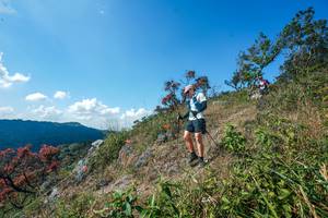 BIB: 
                            <button type="button" onclick="openModal(28096626)" class="btn btn-primary btn-sm float-right btn-popup" data-toggle="modal" data-target=".modal-high-quality">
                        <i class="fas fa-shopping-cart"></i> Add to Cart
                    </button>
                                            <button type="button" onclick="isThisMe(28096626, true)" class="btn btn-success btn-sm float-right btn-popup btn-isme hidden" data-toggle="tooltip" data-placement="bottom" title="นี่คือรูปของคุณใช่ไหม คลิกที่นี่เพื่อเอาเข้าอัลบั้ม">
                        <i class="fas fa-plus"></i> Add to album
                    </button>
                    <button type="button" onclick="isThisMe(28096626, false)" class="btn btn-warning btn-sm float-right btn-popup btn-isnotme hidden">
                        <i class="fas fa-ban"></i> Remove from album
                    </button>