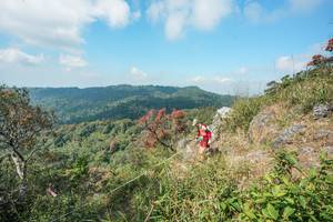 BIB: 
                            <button type="button" onclick="openModal(28095752)" class="btn btn-primary btn-sm float-right btn-popup" data-toggle="modal" data-target=".modal-high-quality">
                        <i class="fas fa-shopping-cart"></i> Add to Cart
                    </button>
                                            <button type="button" onclick="isThisMe(28095752, true)" class="btn btn-success btn-sm float-right btn-popup btn-isme hidden" data-toggle="tooltip" data-placement="bottom" title="นี่คือรูปของคุณใช่ไหม คลิกที่นี่เพื่อเอาเข้าอัลบั้ม">
                        <i class="fas fa-plus"></i> Add to album
                    </button>
                    <button type="button" onclick="isThisMe(28095752, false)" class="btn btn-warning btn-sm float-right btn-popup btn-isnotme hidden">
                        <i class="fas fa-ban"></i> Remove from album
                    </button>