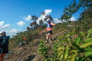 BIB: 
                            <button type="button" onclick="openModal(28097503)" class="btn btn-primary btn-sm float-right btn-popup" data-toggle="modal" data-target=".modal-high-quality">
                        <i class="fas fa-shopping-cart"></i> Add to Cart
                    </button>
                                            <button type="button" onclick="isThisMe(28097503, true)" class="btn btn-success btn-sm float-right btn-popup btn-isme hidden" data-toggle="tooltip" data-placement="bottom" title="นี่คือรูปของคุณใช่ไหม คลิกที่นี่เพื่อเอาเข้าอัลบั้ม">
                        <i class="fas fa-plus"></i> Add to album
                    </button>
                    <button type="button" onclick="isThisMe(28097503, false)" class="btn btn-warning btn-sm float-right btn-popup btn-isnotme hidden">
                        <i class="fas fa-ban"></i> Remove from album
                    </button>