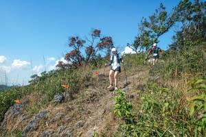 BIB: 
                            <button type="button" onclick="openModal(28096947)" class="btn btn-primary btn-sm float-right btn-popup" data-toggle="modal" data-target=".modal-high-quality">
                        <i class="fas fa-shopping-cart"></i> Add to Cart
                    </button>
                                            <button type="button" onclick="isThisMe(28096947, true)" class="btn btn-success btn-sm float-right btn-popup btn-isme hidden" data-toggle="tooltip" data-placement="bottom" title="นี่คือรูปของคุณใช่ไหม คลิกที่นี่เพื่อเอาเข้าอัลบั้ม">
                        <i class="fas fa-plus"></i> Add to album
                    </button>
                    <button type="button" onclick="isThisMe(28096947, false)" class="btn btn-warning btn-sm float-right btn-popup btn-isnotme hidden">
                        <i class="fas fa-ban"></i> Remove from album
                    </button>