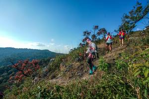 BIB: 
                            <button type="button" onclick="openModal(28098967)" class="btn btn-primary btn-sm float-right btn-popup" data-toggle="modal" data-target=".modal-high-quality">
                        <i class="fas fa-shopping-cart"></i> Add to Cart
                    </button>
                                            <button type="button" onclick="isThisMe(28098967, true)" class="btn btn-success btn-sm float-right btn-popup btn-isme hidden" data-toggle="tooltip" data-placement="bottom" title="นี่คือรูปของคุณใช่ไหม คลิกที่นี่เพื่อเอาเข้าอัลบั้ม">
                        <i class="fas fa-plus"></i> Add to album
                    </button>
                    <button type="button" onclick="isThisMe(28098967, false)" class="btn btn-warning btn-sm float-right btn-popup btn-isnotme hidden">
                        <i class="fas fa-ban"></i> Remove from album
                    </button>