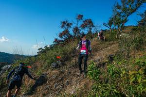 BIB: 
                            <button type="button" onclick="openModal(28098451)" class="btn btn-primary btn-sm float-right btn-popup" data-toggle="modal" data-target=".modal-high-quality">
                        <i class="fas fa-shopping-cart"></i> Add to Cart
                    </button>
                                            <button type="button" onclick="isThisMe(28098451, true)" class="btn btn-success btn-sm float-right btn-popup btn-isme hidden" data-toggle="tooltip" data-placement="bottom" title="นี่คือรูปของคุณใช่ไหม คลิกที่นี่เพื่อเอาเข้าอัลบั้ม">
                        <i class="fas fa-plus"></i> Add to album
                    </button>
                    <button type="button" onclick="isThisMe(28098451, false)" class="btn btn-warning btn-sm float-right btn-popup btn-isnotme hidden">
                        <i class="fas fa-ban"></i> Remove from album
                    </button>