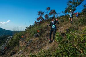 BIB: 
                            <button type="button" onclick="openModal(28098582)" class="btn btn-primary btn-sm float-right btn-popup" data-toggle="modal" data-target=".modal-high-quality">
                        <i class="fas fa-shopping-cart"></i> Add to Cart
                    </button>
                                            <button type="button" onclick="isThisMe(28098582, true)" class="btn btn-success btn-sm float-right btn-popup btn-isme hidden" data-toggle="tooltip" data-placement="bottom" title="นี่คือรูปของคุณใช่ไหม คลิกที่นี่เพื่อเอาเข้าอัลบั้ม">
                        <i class="fas fa-plus"></i> Add to album
                    </button>
                    <button type="button" onclick="isThisMe(28098582, false)" class="btn btn-warning btn-sm float-right btn-popup btn-isnotme hidden">
                        <i class="fas fa-ban"></i> Remove from album
                    </button>