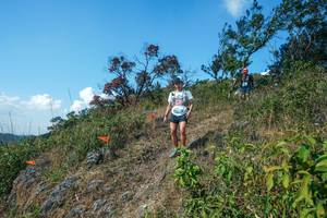 BIB: 
                            <button type="button" onclick="openModal(28096810)" class="btn btn-primary btn-sm float-right btn-popup" data-toggle="modal" data-target=".modal-high-quality">
                        <i class="fas fa-shopping-cart"></i> Add to Cart
                    </button>
                                            <button type="button" onclick="isThisMe(28096810, true)" class="btn btn-success btn-sm float-right btn-popup btn-isme hidden" data-toggle="tooltip" data-placement="bottom" title="นี่คือรูปของคุณใช่ไหม คลิกที่นี่เพื่อเอาเข้าอัลบั้ม">
                        <i class="fas fa-plus"></i> Add to album
                    </button>
                    <button type="button" onclick="isThisMe(28096810, false)" class="btn btn-warning btn-sm float-right btn-popup btn-isnotme hidden">
                        <i class="fas fa-ban"></i> Remove from album
                    </button>