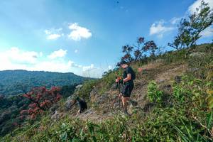 BIB: 
                            <button type="button" onclick="openModal(28097949)" class="btn btn-primary btn-sm float-right btn-popup" data-toggle="modal" data-target=".modal-high-quality">
                        <i class="fas fa-shopping-cart"></i> Add to Cart
                    </button>
                                            <button type="button" onclick="isThisMe(28097949, true)" class="btn btn-success btn-sm float-right btn-popup btn-isme hidden" data-toggle="tooltip" data-placement="bottom" title="นี่คือรูปของคุณใช่ไหม คลิกที่นี่เพื่อเอาเข้าอัลบั้ม">
                        <i class="fas fa-plus"></i> Add to album
                    </button>
                    <button type="button" onclick="isThisMe(28097949, false)" class="btn btn-warning btn-sm float-right btn-popup btn-isnotme hidden">
                        <i class="fas fa-ban"></i> Remove from album
                    </button>