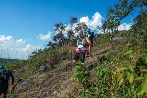 BIB: 
                            <button type="button" onclick="openModal(28097414)" class="btn btn-primary btn-sm float-right btn-popup" data-toggle="modal" data-target=".modal-high-quality">
                        <i class="fas fa-shopping-cart"></i> Add to Cart
                    </button>
                                            <button type="button" onclick="isThisMe(28097414, true)" class="btn btn-success btn-sm float-right btn-popup btn-isme hidden" data-toggle="tooltip" data-placement="bottom" title="นี่คือรูปของคุณใช่ไหม คลิกที่นี่เพื่อเอาเข้าอัลบั้ม">
                        <i class="fas fa-plus"></i> Add to album
                    </button>
                    <button type="button" onclick="isThisMe(28097414, false)" class="btn btn-warning btn-sm float-right btn-popup btn-isnotme hidden">
                        <i class="fas fa-ban"></i> Remove from album
                    </button>