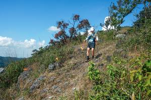 BIB: 
                            <button type="button" onclick="openModal(28096323)" class="btn btn-primary btn-sm float-right btn-popup" data-toggle="modal" data-target=".modal-high-quality">
                        <i class="fas fa-shopping-cart"></i> Add to Cart
                    </button>
                                            <button type="button" onclick="isThisMe(28096323, true)" class="btn btn-success btn-sm float-right btn-popup btn-isme hidden" data-toggle="tooltip" data-placement="bottom" title="นี่คือรูปของคุณใช่ไหม คลิกที่นี่เพื่อเอาเข้าอัลบั้ม">
                        <i class="fas fa-plus"></i> Add to album
                    </button>
                    <button type="button" onclick="isThisMe(28096323, false)" class="btn btn-warning btn-sm float-right btn-popup btn-isnotme hidden">
                        <i class="fas fa-ban"></i> Remove from album
                    </button>