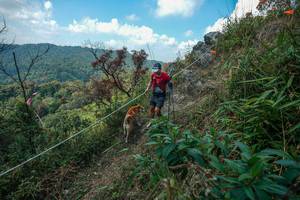 BIB: 
                            <button type="button" onclick="openModal(28095924)" class="btn btn-primary btn-sm float-right btn-popup" data-toggle="modal" data-target=".modal-high-quality">
                        <i class="fas fa-shopping-cart"></i> Add to Cart
                    </button>
                                            <button type="button" onclick="isThisMe(28095924, true)" class="btn btn-success btn-sm float-right btn-popup btn-isme hidden" data-toggle="tooltip" data-placement="bottom" title="นี่คือรูปของคุณใช่ไหม คลิกที่นี่เพื่อเอาเข้าอัลบั้ม">
                        <i class="fas fa-plus"></i> Add to album
                    </button>
                    <button type="button" onclick="isThisMe(28095924, false)" class="btn btn-warning btn-sm float-right btn-popup btn-isnotme hidden">
                        <i class="fas fa-ban"></i> Remove from album
                    </button>