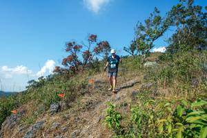 BIB: 
                            <button type="button" onclick="openModal(28096884)" class="btn btn-primary btn-sm float-right btn-popup" data-toggle="modal" data-target=".modal-high-quality">
                        <i class="fas fa-shopping-cart"></i> Add to Cart
                    </button>
                                            <button type="button" onclick="isThisMe(28096884, true)" class="btn btn-success btn-sm float-right btn-popup btn-isme hidden" data-toggle="tooltip" data-placement="bottom" title="นี่คือรูปของคุณใช่ไหม คลิกที่นี่เพื่อเอาเข้าอัลบั้ม">
                        <i class="fas fa-plus"></i> Add to album
                    </button>
                    <button type="button" onclick="isThisMe(28096884, false)" class="btn btn-warning btn-sm float-right btn-popup btn-isnotme hidden">
                        <i class="fas fa-ban"></i> Remove from album
                    </button>