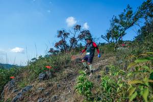 BIB: 
                            <button type="button" onclick="openModal(28098119)" class="btn btn-primary btn-sm float-right btn-popup" data-toggle="modal" data-target=".modal-high-quality">
                        <i class="fas fa-shopping-cart"></i> Add to Cart
                    </button>
                                            <button type="button" onclick="isThisMe(28098119, true)" class="btn btn-success btn-sm float-right btn-popup btn-isme hidden" data-toggle="tooltip" data-placement="bottom" title="นี่คือรูปของคุณใช่ไหม คลิกที่นี่เพื่อเอาเข้าอัลบั้ม">
                        <i class="fas fa-plus"></i> Add to album
                    </button>
                    <button type="button" onclick="isThisMe(28098119, false)" class="btn btn-warning btn-sm float-right btn-popup btn-isnotme hidden">
                        <i class="fas fa-ban"></i> Remove from album
                    </button>