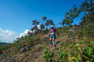 BIB: 
                            <button type="button" onclick="openModal(28097138)" class="btn btn-primary btn-sm float-right btn-popup" data-toggle="modal" data-target=".modal-high-quality">
                        <i class="fas fa-shopping-cart"></i> Add to Cart
                    </button>
                                            <button type="button" onclick="isThisMe(28097138, true)" class="btn btn-success btn-sm float-right btn-popup btn-isme hidden" data-toggle="tooltip" data-placement="bottom" title="นี่คือรูปของคุณใช่ไหม คลิกที่นี่เพื่อเอาเข้าอัลบั้ม">
                        <i class="fas fa-plus"></i> Add to album
                    </button>
                    <button type="button" onclick="isThisMe(28097138, false)" class="btn btn-warning btn-sm float-right btn-popup btn-isnotme hidden">
                        <i class="fas fa-ban"></i> Remove from album
                    </button>