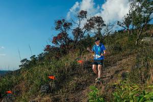 BIB: 
                            <button type="button" onclick="openModal(28099223)" class="btn btn-primary btn-sm float-right btn-popup" data-toggle="modal" data-target=".modal-high-quality">
                        <i class="fas fa-shopping-cart"></i> Add to Cart
                    </button>
                                            <button type="button" onclick="isThisMe(28099223, true)" class="btn btn-success btn-sm float-right btn-popup btn-isme hidden" data-toggle="tooltip" data-placement="bottom" title="นี่คือรูปของคุณใช่ไหม คลิกที่นี่เพื่อเอาเข้าอัลบั้ม">
                        <i class="fas fa-plus"></i> Add to album
                    </button>
                    <button type="button" onclick="isThisMe(28099223, false)" class="btn btn-warning btn-sm float-right btn-popup btn-isnotme hidden">
                        <i class="fas fa-ban"></i> Remove from album
                    </button>