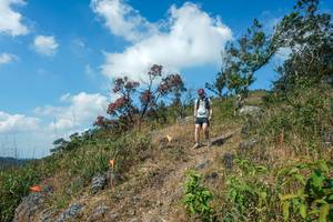 BIB: 
                            <button type="button" onclick="openModal(28096498)" class="btn btn-primary btn-sm float-right btn-popup" data-toggle="modal" data-target=".modal-high-quality">
                        <i class="fas fa-shopping-cart"></i> Add to Cart
                    </button>
                                            <button type="button" onclick="isThisMe(28096498, true)" class="btn btn-success btn-sm float-right btn-popup btn-isme hidden" data-toggle="tooltip" data-placement="bottom" title="นี่คือรูปของคุณใช่ไหม คลิกที่นี่เพื่อเอาเข้าอัลบั้ม">
                        <i class="fas fa-plus"></i> Add to album
                    </button>
                    <button type="button" onclick="isThisMe(28096498, false)" class="btn btn-warning btn-sm float-right btn-popup btn-isnotme hidden">
                        <i class="fas fa-ban"></i> Remove from album
                    </button>