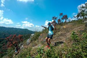 BIB: 
                            <button type="button" onclick="openModal(28096182)" class="btn btn-primary btn-sm float-right btn-popup" data-toggle="modal" data-target=".modal-high-quality">
                        <i class="fas fa-shopping-cart"></i> Add to Cart
                    </button>
                                            <button type="button" onclick="isThisMe(28096182, true)" class="btn btn-success btn-sm float-right btn-popup btn-isme hidden" data-toggle="tooltip" data-placement="bottom" title="นี่คือรูปของคุณใช่ไหม คลิกที่นี่เพื่อเอาเข้าอัลบั้ม">
                        <i class="fas fa-plus"></i> Add to album
                    </button>
                    <button type="button" onclick="isThisMe(28096182, false)" class="btn btn-warning btn-sm float-right btn-popup btn-isnotme hidden">
                        <i class="fas fa-ban"></i> Remove from album
                    </button>