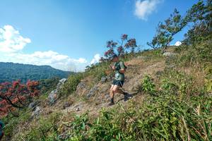 BIB: 
                            <button type="button" onclick="openModal(28096877)" class="btn btn-primary btn-sm float-right btn-popup" data-toggle="modal" data-target=".modal-high-quality">
                        <i class="fas fa-shopping-cart"></i> Add to Cart
                    </button>
                                            <button type="button" onclick="isThisMe(28096877, true)" class="btn btn-success btn-sm float-right btn-popup btn-isme hidden" data-toggle="tooltip" data-placement="bottom" title="นี่คือรูปของคุณใช่ไหม คลิกที่นี่เพื่อเอาเข้าอัลบั้ม">
                        <i class="fas fa-plus"></i> Add to album
                    </button>
                    <button type="button" onclick="isThisMe(28096877, false)" class="btn btn-warning btn-sm float-right btn-popup btn-isnotme hidden">
                        <i class="fas fa-ban"></i> Remove from album
                    </button>