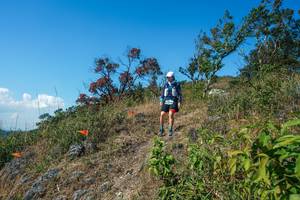 BIB: 
                            <button type="button" onclick="openModal(28096689)" class="btn btn-primary btn-sm float-right btn-popup" data-toggle="modal" data-target=".modal-high-quality">
                        <i class="fas fa-shopping-cart"></i> Add to Cart
                    </button>
                                            <button type="button" onclick="isThisMe(28096689, true)" class="btn btn-success btn-sm float-right btn-popup btn-isme hidden" data-toggle="tooltip" data-placement="bottom" title="นี่คือรูปของคุณใช่ไหม คลิกที่นี่เพื่อเอาเข้าอัลบั้ม">
                        <i class="fas fa-plus"></i> Add to album
                    </button>
                    <button type="button" onclick="isThisMe(28096689, false)" class="btn btn-warning btn-sm float-right btn-popup btn-isnotme hidden">
                        <i class="fas fa-ban"></i> Remove from album
                    </button>