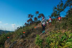 BIB: 
                            <button type="button" onclick="openModal(28098951)" class="btn btn-primary btn-sm float-right btn-popup" data-toggle="modal" data-target=".modal-high-quality">
                        <i class="fas fa-shopping-cart"></i> Add to Cart
                    </button>
                                            <button type="button" onclick="isThisMe(28098951, true)" class="btn btn-success btn-sm float-right btn-popup btn-isme hidden" data-toggle="tooltip" data-placement="bottom" title="นี่คือรูปของคุณใช่ไหม คลิกที่นี่เพื่อเอาเข้าอัลบั้ม">
                        <i class="fas fa-plus"></i> Add to album
                    </button>
                    <button type="button" onclick="isThisMe(28098951, false)" class="btn btn-warning btn-sm float-right btn-popup btn-isnotme hidden">
                        <i class="fas fa-ban"></i> Remove from album
                    </button>