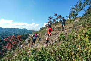 BIB: 
                            <button type="button" onclick="openModal(28097046)" class="btn btn-primary btn-sm float-right btn-popup" data-toggle="modal" data-target=".modal-high-quality">
                        <i class="fas fa-shopping-cart"></i> Add to Cart
                    </button>
                                            <button type="button" onclick="isThisMe(28097046, true)" class="btn btn-success btn-sm float-right btn-popup btn-isme hidden" data-toggle="tooltip" data-placement="bottom" title="นี่คือรูปของคุณใช่ไหม คลิกที่นี่เพื่อเอาเข้าอัลบั้ม">
                        <i class="fas fa-plus"></i> Add to album
                    </button>
                    <button type="button" onclick="isThisMe(28097046, false)" class="btn btn-warning btn-sm float-right btn-popup btn-isnotme hidden">
                        <i class="fas fa-ban"></i> Remove from album
                    </button>