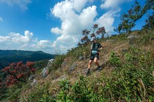 BIB: 
                            <button type="button" onclick="openModal(28096243)" class="btn btn-primary btn-sm float-right btn-popup" data-toggle="modal" data-target=".modal-high-quality">
                        <i class="fas fa-shopping-cart"></i> Add to Cart
                    </button>
                                            <button type="button" onclick="isThisMe(28096243, true)" class="btn btn-success btn-sm float-right btn-popup btn-isme hidden" data-toggle="tooltip" data-placement="bottom" title="นี่คือรูปของคุณใช่ไหม คลิกที่นี่เพื่อเอาเข้าอัลบั้ม">
                        <i class="fas fa-plus"></i> Add to album
                    </button>
                    <button type="button" onclick="isThisMe(28096243, false)" class="btn btn-warning btn-sm float-right btn-popup btn-isnotme hidden">
                        <i class="fas fa-ban"></i> Remove from album
                    </button>