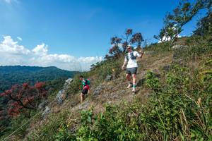 BIB: 
                            <button type="button" onclick="openModal(28096324)" class="btn btn-primary btn-sm float-right btn-popup" data-toggle="modal" data-target=".modal-high-quality">
                        <i class="fas fa-shopping-cart"></i> Add to Cart
                    </button>
                                            <button type="button" onclick="isThisMe(28096324, true)" class="btn btn-success btn-sm float-right btn-popup btn-isme hidden" data-toggle="tooltip" data-placement="bottom" title="นี่คือรูปของคุณใช่ไหม คลิกที่นี่เพื่อเอาเข้าอัลบั้ม">
                        <i class="fas fa-plus"></i> Add to album
                    </button>
                    <button type="button" onclick="isThisMe(28096324, false)" class="btn btn-warning btn-sm float-right btn-popup btn-isnotme hidden">
                        <i class="fas fa-ban"></i> Remove from album
                    </button>