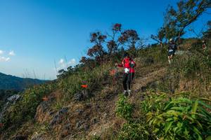 BIB: 
                            <button type="button" onclick="openModal(28098732)" class="btn btn-primary btn-sm float-right btn-popup" data-toggle="modal" data-target=".modal-high-quality">
                        <i class="fas fa-shopping-cart"></i> Add to Cart
                    </button>
                                            <button type="button" onclick="isThisMe(28098732, true)" class="btn btn-success btn-sm float-right btn-popup btn-isme hidden" data-toggle="tooltip" data-placement="bottom" title="นี่คือรูปของคุณใช่ไหม คลิกที่นี่เพื่อเอาเข้าอัลบั้ม">
                        <i class="fas fa-plus"></i> Add to album
                    </button>
                    <button type="button" onclick="isThisMe(28098732, false)" class="btn btn-warning btn-sm float-right btn-popup btn-isnotme hidden">
                        <i class="fas fa-ban"></i> Remove from album
                    </button>