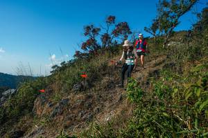 BIB: 
                            <button type="button" onclick="openModal(28098772)" class="btn btn-primary btn-sm float-right btn-popup" data-toggle="modal" data-target=".modal-high-quality">
                        <i class="fas fa-shopping-cart"></i> Add to Cart
                    </button>
                                            <button type="button" onclick="isThisMe(28098772, true)" class="btn btn-success btn-sm float-right btn-popup btn-isme hidden" data-toggle="tooltip" data-placement="bottom" title="นี่คือรูปของคุณใช่ไหม คลิกที่นี่เพื่อเอาเข้าอัลบั้ม">
                        <i class="fas fa-plus"></i> Add to album
                    </button>
                    <button type="button" onclick="isThisMe(28098772, false)" class="btn btn-warning btn-sm float-right btn-popup btn-isnotme hidden">
                        <i class="fas fa-ban"></i> Remove from album
                    </button>