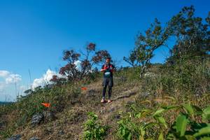 BIB: 
                            <button type="button" onclick="openModal(28097156)" class="btn btn-primary btn-sm float-right btn-popup" data-toggle="modal" data-target=".modal-high-quality">
                        <i class="fas fa-shopping-cart"></i> Add to Cart
                    </button>
                                            <button type="button" onclick="isThisMe(28097156, true)" class="btn btn-success btn-sm float-right btn-popup btn-isme hidden" data-toggle="tooltip" data-placement="bottom" title="นี่คือรูปของคุณใช่ไหม คลิกที่นี่เพื่อเอาเข้าอัลบั้ม">
                        <i class="fas fa-plus"></i> Add to album
                    </button>
                    <button type="button" onclick="isThisMe(28097156, false)" class="btn btn-warning btn-sm float-right btn-popup btn-isnotme hidden">
                        <i class="fas fa-ban"></i> Remove from album
                    </button>