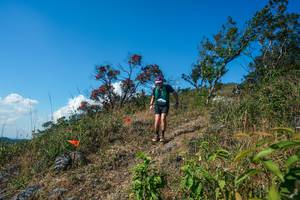 BIB: 
                            <button type="button" onclick="openModal(28097114)" class="btn btn-primary btn-sm float-right btn-popup" data-toggle="modal" data-target=".modal-high-quality">
                        <i class="fas fa-shopping-cart"></i> Add to Cart
                    </button>
                                            <button type="button" onclick="isThisMe(28097114, true)" class="btn btn-success btn-sm float-right btn-popup btn-isme hidden" data-toggle="tooltip" data-placement="bottom" title="นี่คือรูปของคุณใช่ไหม คลิกที่นี่เพื่อเอาเข้าอัลบั้ม">
                        <i class="fas fa-plus"></i> Add to album
                    </button>
                    <button type="button" onclick="isThisMe(28097114, false)" class="btn btn-warning btn-sm float-right btn-popup btn-isnotme hidden">
                        <i class="fas fa-ban"></i> Remove from album
                    </button>