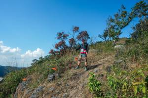 BIB: 
                            <button type="button" onclick="openModal(28096638)" class="btn btn-primary btn-sm float-right btn-popup" data-toggle="modal" data-target=".modal-high-quality">
                        <i class="fas fa-shopping-cart"></i> Add to Cart
                    </button>
                                            <button type="button" onclick="isThisMe(28096638, true)" class="btn btn-success btn-sm float-right btn-popup btn-isme hidden" data-toggle="tooltip" data-placement="bottom" title="นี่คือรูปของคุณใช่ไหม คลิกที่นี่เพื่อเอาเข้าอัลบั้ม">
                        <i class="fas fa-plus"></i> Add to album
                    </button>
                    <button type="button" onclick="isThisMe(28096638, false)" class="btn btn-warning btn-sm float-right btn-popup btn-isnotme hidden">
                        <i class="fas fa-ban"></i> Remove from album
                    </button>