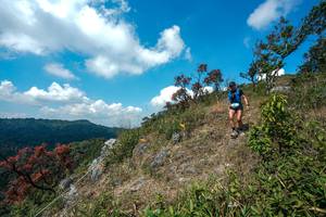 BIB: 
                            <button type="button" onclick="openModal(28095958)" class="btn btn-primary btn-sm float-right btn-popup" data-toggle="modal" data-target=".modal-high-quality">
                        <i class="fas fa-shopping-cart"></i> Add to Cart
                    </button>
                                            <button type="button" onclick="isThisMe(28095958, true)" class="btn btn-success btn-sm float-right btn-popup btn-isme hidden" data-toggle="tooltip" data-placement="bottom" title="นี่คือรูปของคุณใช่ไหม คลิกที่นี่เพื่อเอาเข้าอัลบั้ม">
                        <i class="fas fa-plus"></i> Add to album
                    </button>
                    <button type="button" onclick="isThisMe(28095958, false)" class="btn btn-warning btn-sm float-right btn-popup btn-isnotme hidden">
                        <i class="fas fa-ban"></i> Remove from album
                    </button>