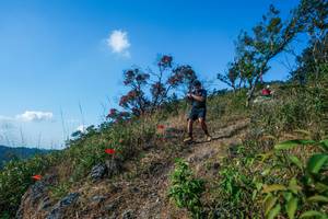 BIB: 
                            <button type="button" onclick="openModal(28098134)" class="btn btn-primary btn-sm float-right btn-popup" data-toggle="modal" data-target=".modal-high-quality">
                        <i class="fas fa-shopping-cart"></i> Add to Cart
                    </button>
                                            <button type="button" onclick="isThisMe(28098134, true)" class="btn btn-success btn-sm float-right btn-popup btn-isme hidden" data-toggle="tooltip" data-placement="bottom" title="นี่คือรูปของคุณใช่ไหม คลิกที่นี่เพื่อเอาเข้าอัลบั้ม">
                        <i class="fas fa-plus"></i> Add to album
                    </button>
                    <button type="button" onclick="isThisMe(28098134, false)" class="btn btn-warning btn-sm float-right btn-popup btn-isnotme hidden">
                        <i class="fas fa-ban"></i> Remove from album
                    </button>