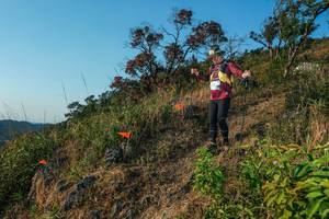 BIB: 
                            <button type="button" onclick="openModal(28099414)" class="btn btn-primary btn-sm float-right btn-popup" data-toggle="modal" data-target=".modal-high-quality">
                        <i class="fas fa-shopping-cart"></i> Add to Cart
                    </button>
                                            <button type="button" onclick="isThisMe(28099414, true)" class="btn btn-success btn-sm float-right btn-popup btn-isme hidden" data-toggle="tooltip" data-placement="bottom" title="นี่คือรูปของคุณใช่ไหม คลิกที่นี่เพื่อเอาเข้าอัลบั้ม">
                        <i class="fas fa-plus"></i> Add to album
                    </button>
                    <button type="button" onclick="isThisMe(28099414, false)" class="btn btn-warning btn-sm float-right btn-popup btn-isnotme hidden">
                        <i class="fas fa-ban"></i> Remove from album
                    </button>