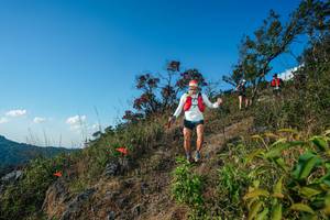 BIB: 
                            <button type="button" onclick="openModal(28099022)" class="btn btn-primary btn-sm float-right btn-popup" data-toggle="modal" data-target=".modal-high-quality">
                        <i class="fas fa-shopping-cart"></i> Add to Cart
                    </button>
                                            <button type="button" onclick="isThisMe(28099022, true)" class="btn btn-success btn-sm float-right btn-popup btn-isme hidden" data-toggle="tooltip" data-placement="bottom" title="นี่คือรูปของคุณใช่ไหม คลิกที่นี่เพื่อเอาเข้าอัลบั้ม">
                        <i class="fas fa-plus"></i> Add to album
                    </button>
                    <button type="button" onclick="isThisMe(28099022, false)" class="btn btn-warning btn-sm float-right btn-popup btn-isnotme hidden">
                        <i class="fas fa-ban"></i> Remove from album
                    </button>