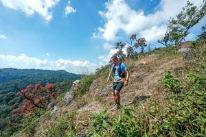 BIB: 
                            <button type="button" onclick="openModal(28096463)" class="btn btn-primary btn-sm float-right btn-popup" data-toggle="modal" data-target=".modal-high-quality">
                        <i class="fas fa-shopping-cart"></i> Add to Cart
                    </button>
                                            <button type="button" onclick="isThisMe(28096463, true)" class="btn btn-success btn-sm float-right btn-popup btn-isme hidden" data-toggle="tooltip" data-placement="bottom" title="นี่คือรูปของคุณใช่ไหม คลิกที่นี่เพื่อเอาเข้าอัลบั้ม">
                        <i class="fas fa-plus"></i> Add to album
                    </button>
                    <button type="button" onclick="isThisMe(28096463, false)" class="btn btn-warning btn-sm float-right btn-popup btn-isnotme hidden">
                        <i class="fas fa-ban"></i> Remove from album
                    </button>