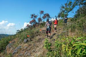 BIB: 
                            <button type="button" onclick="openModal(28097007)" class="btn btn-primary btn-sm float-right btn-popup" data-toggle="modal" data-target=".modal-high-quality">
                        <i class="fas fa-shopping-cart"></i> Add to Cart
                    </button>
                                            <button type="button" onclick="isThisMe(28097007, true)" class="btn btn-success btn-sm float-right btn-popup btn-isme hidden" data-toggle="tooltip" data-placement="bottom" title="นี่คือรูปของคุณใช่ไหม คลิกที่นี่เพื่อเอาเข้าอัลบั้ม">
                        <i class="fas fa-plus"></i> Add to album
                    </button>
                    <button type="button" onclick="isThisMe(28097007, false)" class="btn btn-warning btn-sm float-right btn-popup btn-isnotme hidden">
                        <i class="fas fa-ban"></i> Remove from album
                    </button>