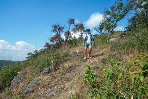 BIB: 
                            <button type="button" onclick="openModal(28096355)" class="btn btn-primary btn-sm float-right btn-popup" data-toggle="modal" data-target=".modal-high-quality">
                        <i class="fas fa-shopping-cart"></i> Add to Cart
                    </button>
                                            <button type="button" onclick="isThisMe(28096355, true)" class="btn btn-success btn-sm float-right btn-popup btn-isme hidden" data-toggle="tooltip" data-placement="bottom" title="นี่คือรูปของคุณใช่ไหม คลิกที่นี่เพื่อเอาเข้าอัลบั้ม">
                        <i class="fas fa-plus"></i> Add to album
                    </button>
                    <button type="button" onclick="isThisMe(28096355, false)" class="btn btn-warning btn-sm float-right btn-popup btn-isnotme hidden">
                        <i class="fas fa-ban"></i> Remove from album
                    </button>