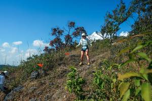 BIB: 
                            <button type="button" onclick="openModal(28097279)" class="btn btn-primary btn-sm float-right btn-popup" data-toggle="modal" data-target=".modal-high-quality">
                        <i class="fas fa-shopping-cart"></i> Add to Cart
                    </button>
                                            <button type="button" onclick="isThisMe(28097279, true)" class="btn btn-success btn-sm float-right btn-popup btn-isme hidden" data-toggle="tooltip" data-placement="bottom" title="นี่คือรูปของคุณใช่ไหม คลิกที่นี่เพื่อเอาเข้าอัลบั้ม">
                        <i class="fas fa-plus"></i> Add to album
                    </button>
                    <button type="button" onclick="isThisMe(28097279, false)" class="btn btn-warning btn-sm float-right btn-popup btn-isnotme hidden">
                        <i class="fas fa-ban"></i> Remove from album
                    </button>